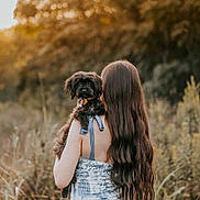 Dennis joined the competition — help win amazing prizes! woman, dog, outdoor, nature, sunset, long_hair, black_dog, shoulder, grass, trees, field, summer, back_view, pet, animal, casual_clothing, evening, blurred_background, calm, friendship