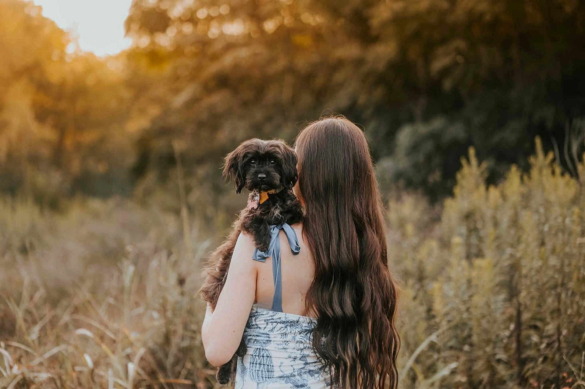 Dennis joined the competition — help win amazing prizes! woman, dog, outdoor, nature, sunset, long_hair, black_dog, shoulder, grass, trees, field, summer, back_view, pet, animal, casual_clothing, evening, blurred_background, calm, friendship
