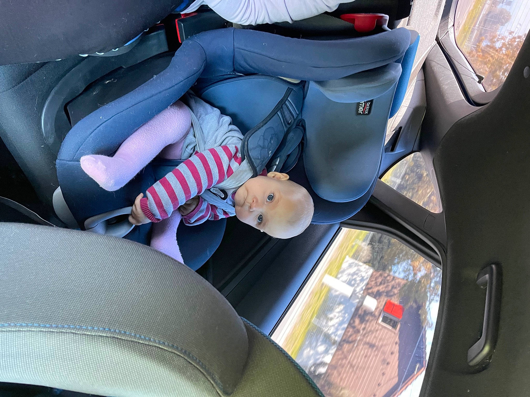 Typhaine participe au concours pour gagner de l'argent avec cette photo : auto_part, automotive_design, automotive_exterior, automotive_wheel_system, car, car_seat, car_seat_cover, carmine, comfort, electric_blue, family_car, head_restraint, luxury_vehicle, motor_vehicle, person, personal_luxury_car, plant, steering_part, steering_wheel, vehicle