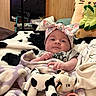 Nova is registered to the contest to win money with this photo: baby, infant, headband, blanket, plush_toy, cow_toy, stuffed_animal, wood_paneling, soft_texture, cute, cozy, indoor, child, smiling, pink, gray_clothing, toy, resting, face, young_child