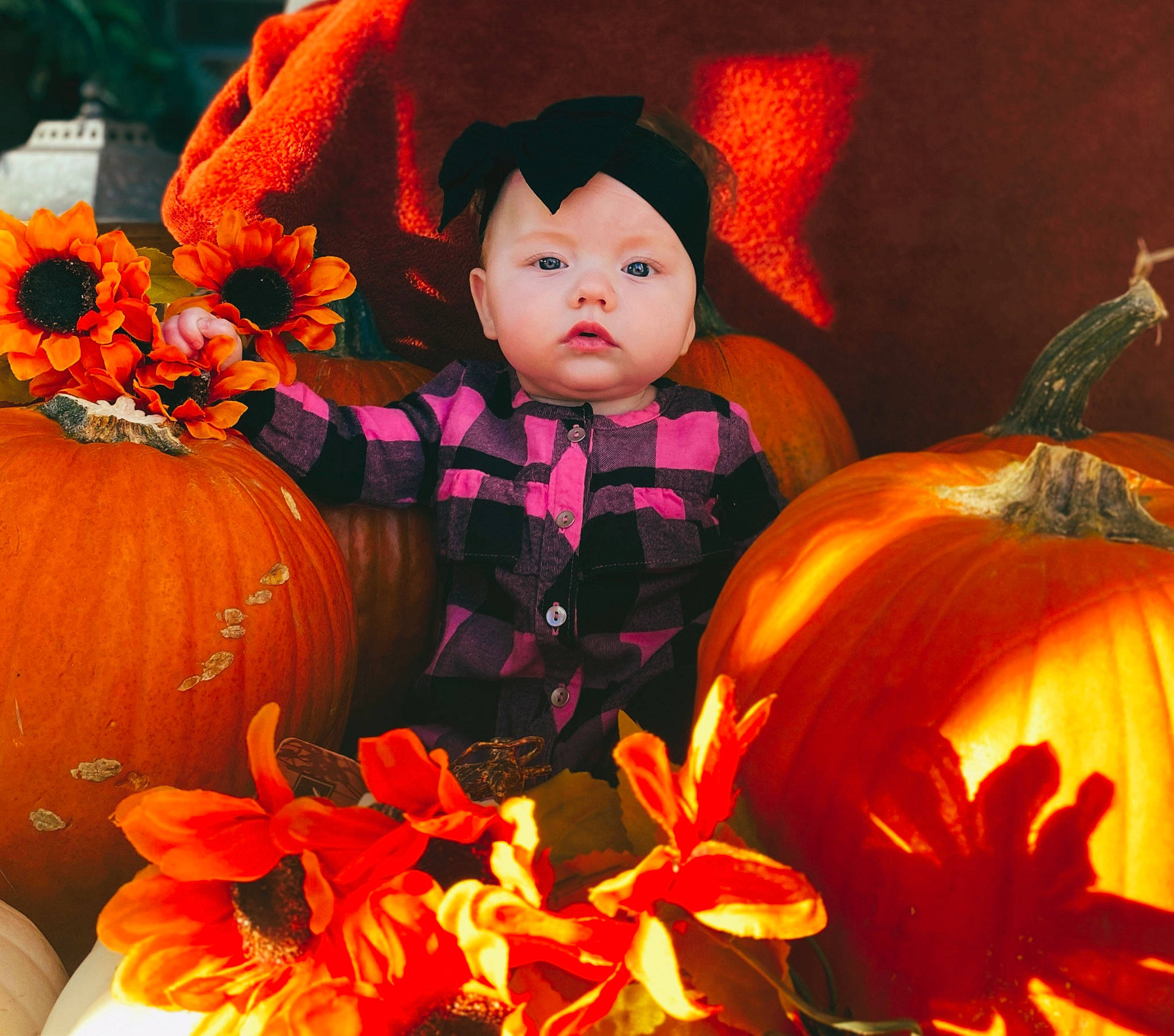 Lyric is registered to the contest to win money with this photo: calabaza, cucurbita, eye, facial_expression, flower, gourd, happy, headwear, jack_o_lantern, leaf, local_food, natural_foods, orange, organ, person, petal, plant, pumpkin, squash, vegetable