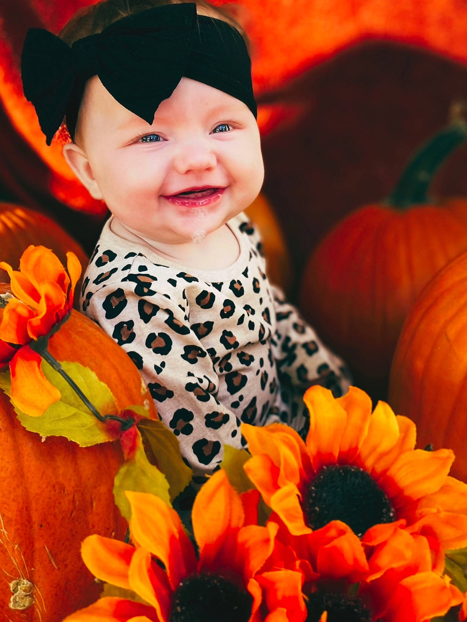 Lyric is registered to the contest to win money with this photo: baby, baby_toddler_clothing, beauty, calabaza, close_up, cut_flowers, dress, flower, flowering_plant, happy, joy, orange, organ, people_in_nature, person, petal, photograph, plant, pumpkin, smile