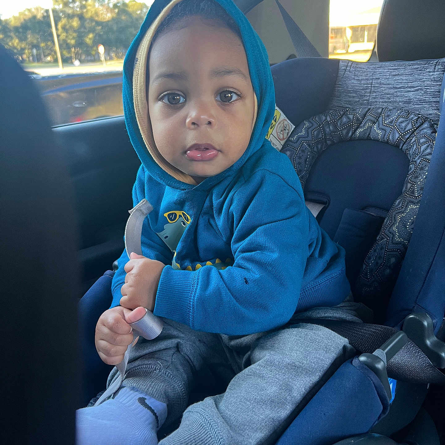 Trillion joined the competition — help win amazing prizes! child, toddler, car_seat, blue_hoodie, seatbelt, car_interior, window, sunlight, curious, baby, socks, gray_pants, seat, travel, portrait, indoor, person, sitting, face, hood