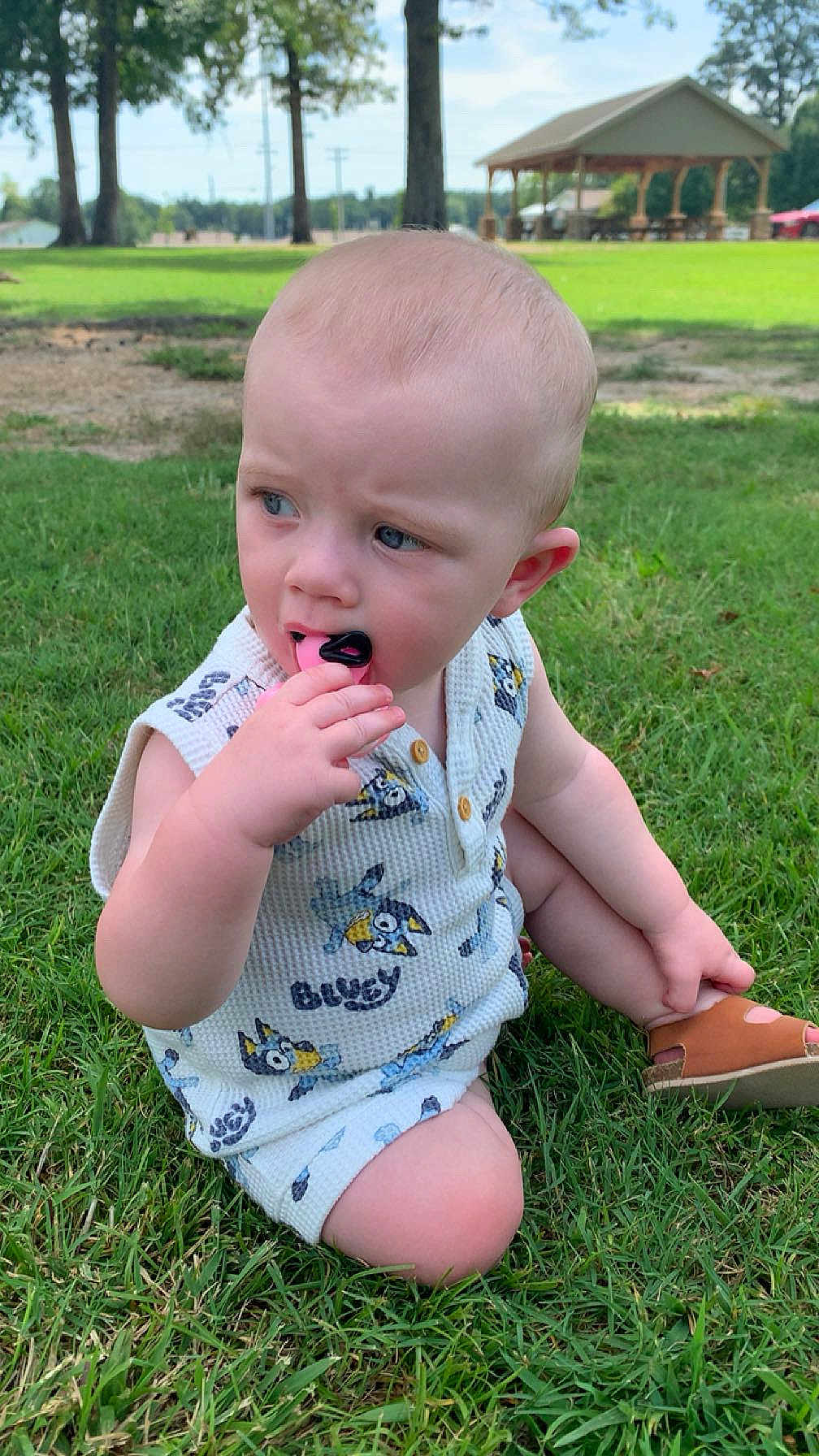 Bentley is registered to the contest to win money with this photo: toddler, child, grass, outdoor, park, toy, sitting, clothing, footwear, expression, nature, greenery, summer, daytime, pavilion, trees, cute, young_child, curious, casual