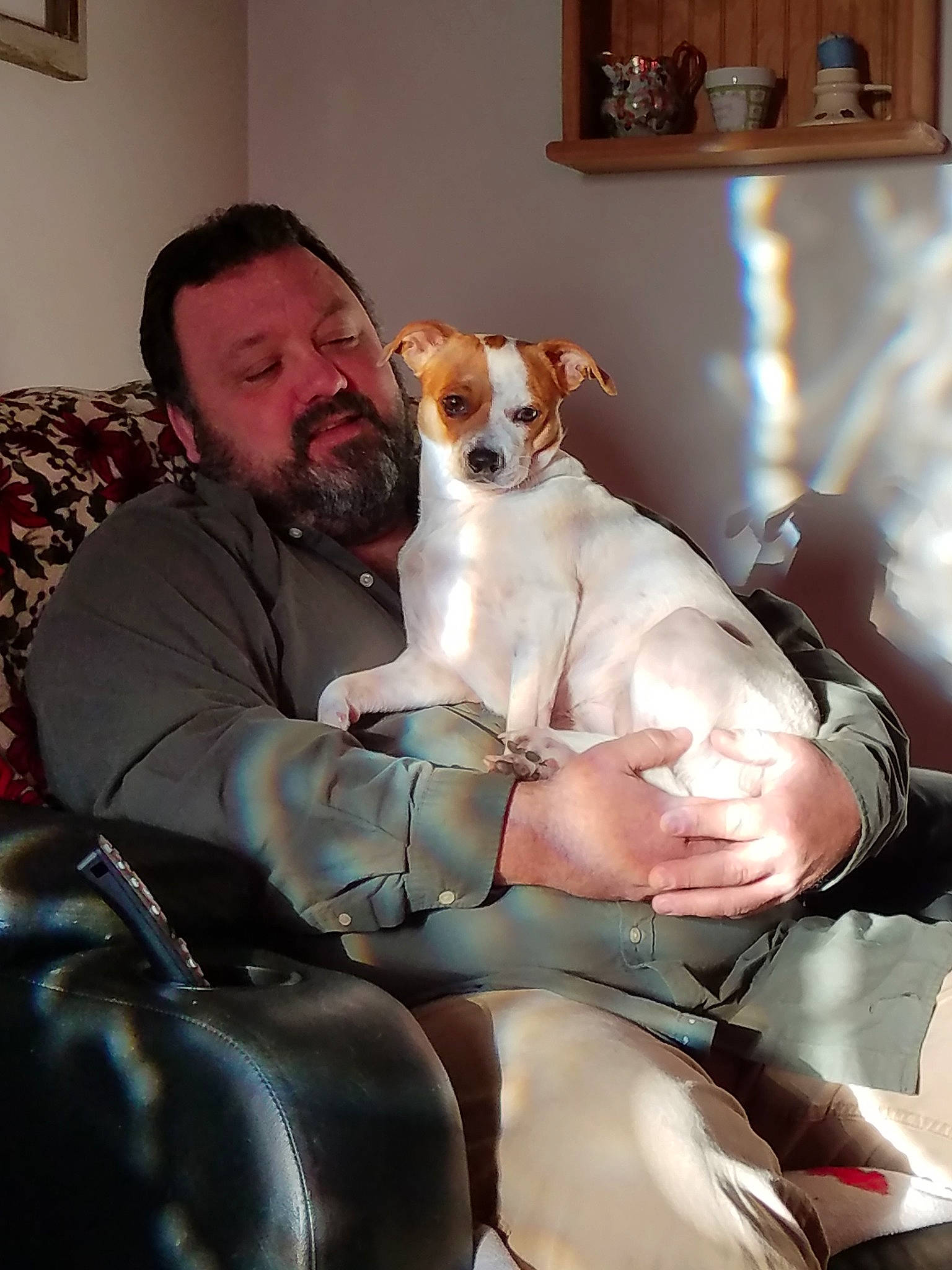 Angel is registered to the contest to win money with this photo: brazilian_terrier, canidae, carnivore, chilean_fox_terrier, companion_dog, danish_swedish_farmdog, dog, dog_breed, feist, fox_terrier, japanese_terrier, mammal, person, rat_terrier, russell_terrier, sporting_group, teddy_roosevelt_terrier, tenterfield_terrier, toy_fox_terrier, treeing_feist