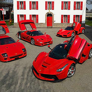 Ferrari herd Of Horses 