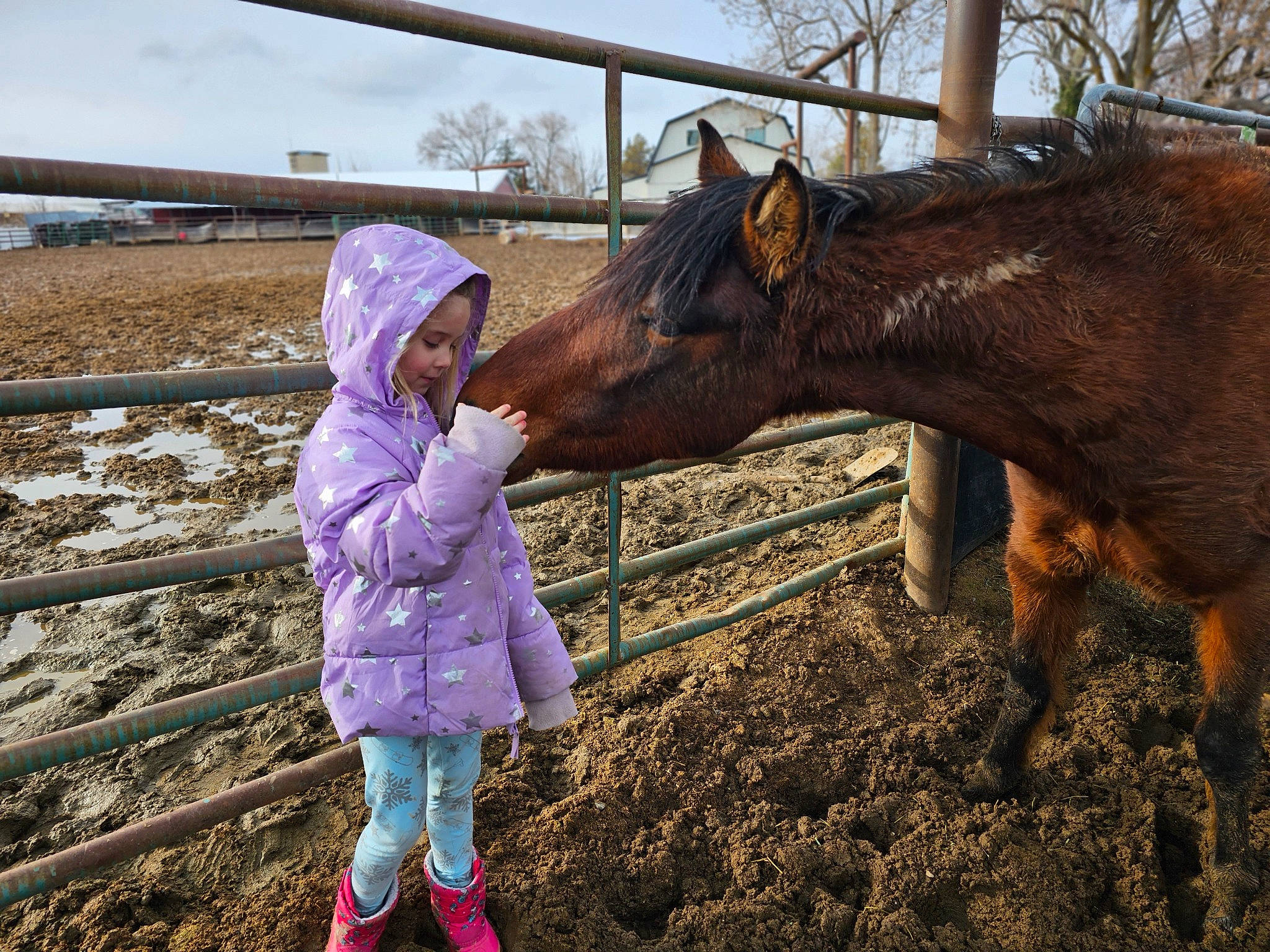 Codie joined the competition — help win amazing prizes! bridle, fun, grass, happy, horse, horse_supplies, horse_tack, landscape, liver, livestock, mane, mare, pack_animal, people_in_nature, person, sky, sorrel, toddler, tree, wood