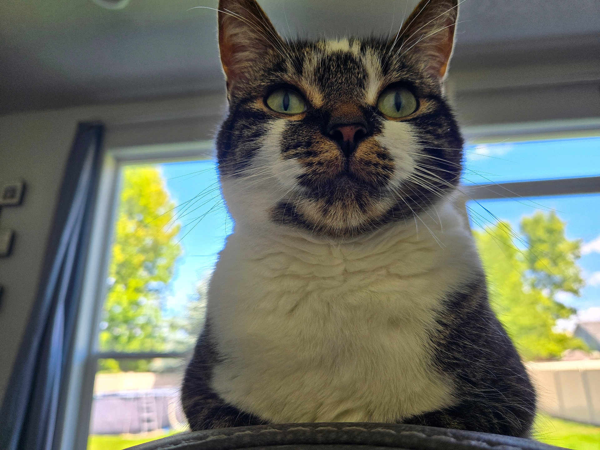 Mia