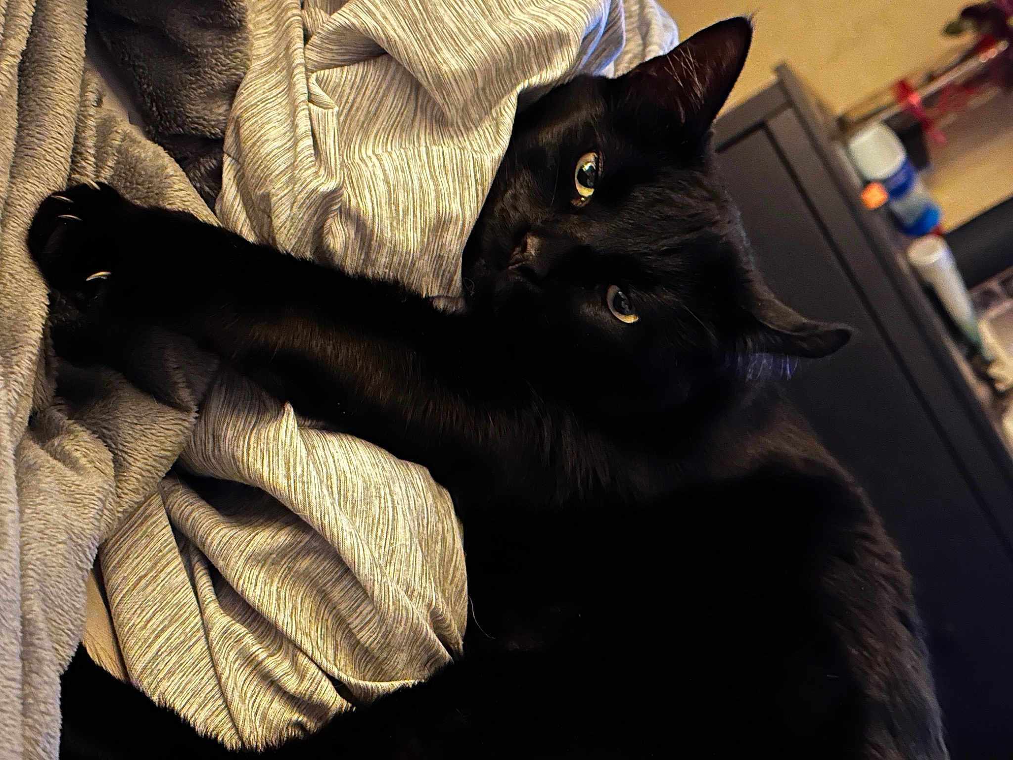 Salem