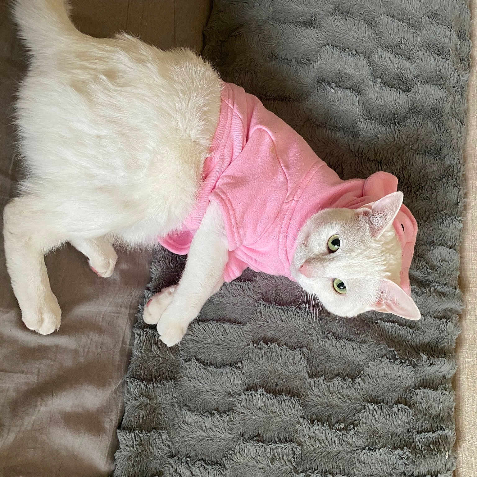 Coco