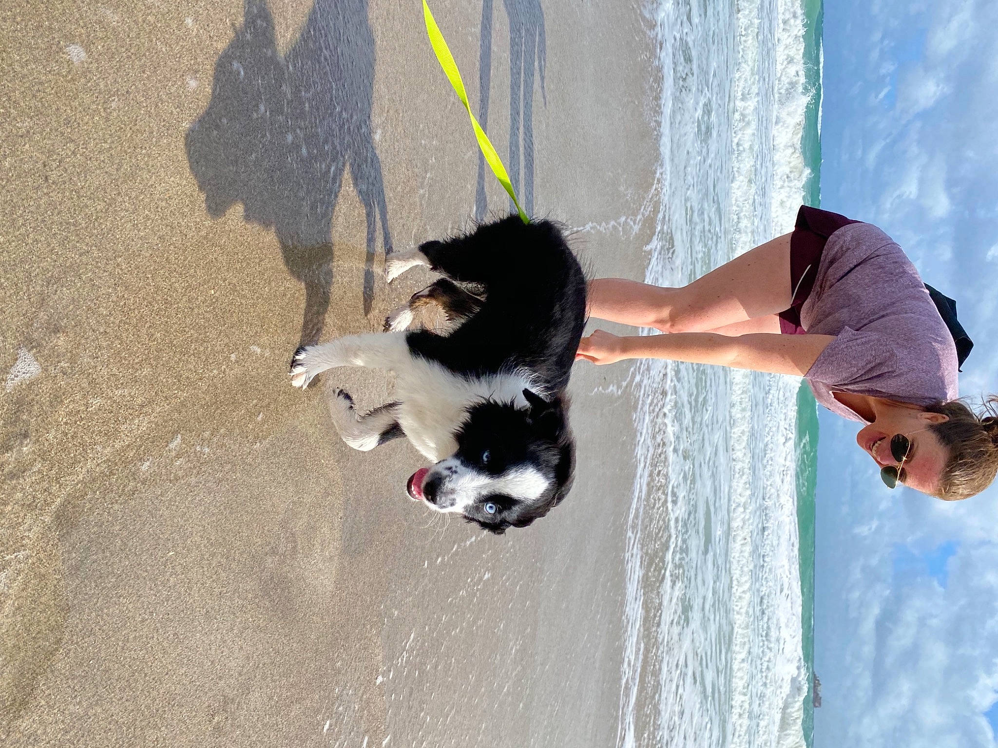 Blu is registered to the contest to win money with this photo: asphalt, beach, carnivore, dog, dog_breed, goggles, holiday, leisure, mammal, ocean, people_on_beach, sand, shadow, summer, sunglasses, tail, tar, vacation, wave, wind_wave