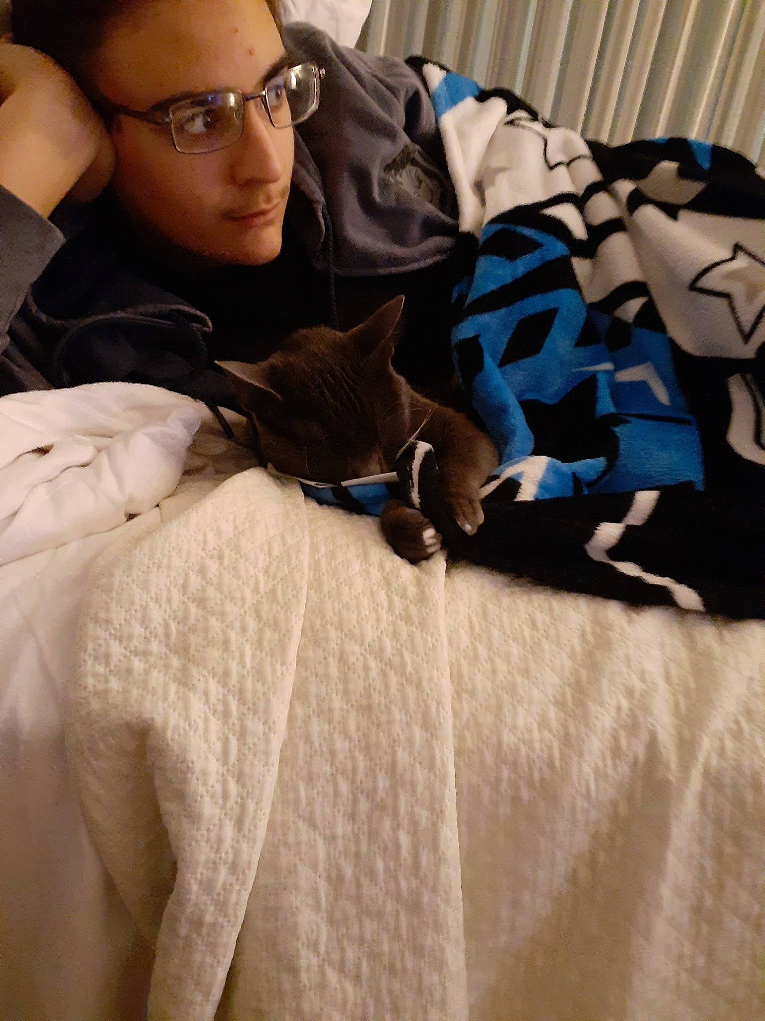 Ash joined the competition — help win amazing prizes! blanket, canidae, carnivore, cat, comfort, companion_dog, cool, eyewear, fawn, felidae, furniture, glasses, linens, nap, room, sleep, whiskers