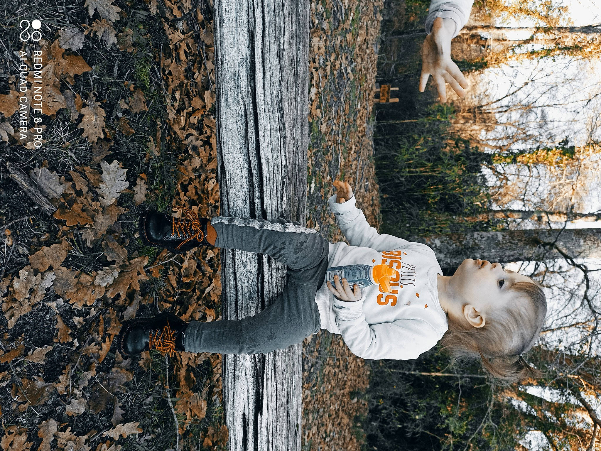 Malya participe au concours pour gagner de l'argent avec cette photo : autumn, branch, deciduous, forest, freezing, fur, grass, lawn_ornament, person, plant, spring, tree, trunk, twig, winter, wood, woody_plant