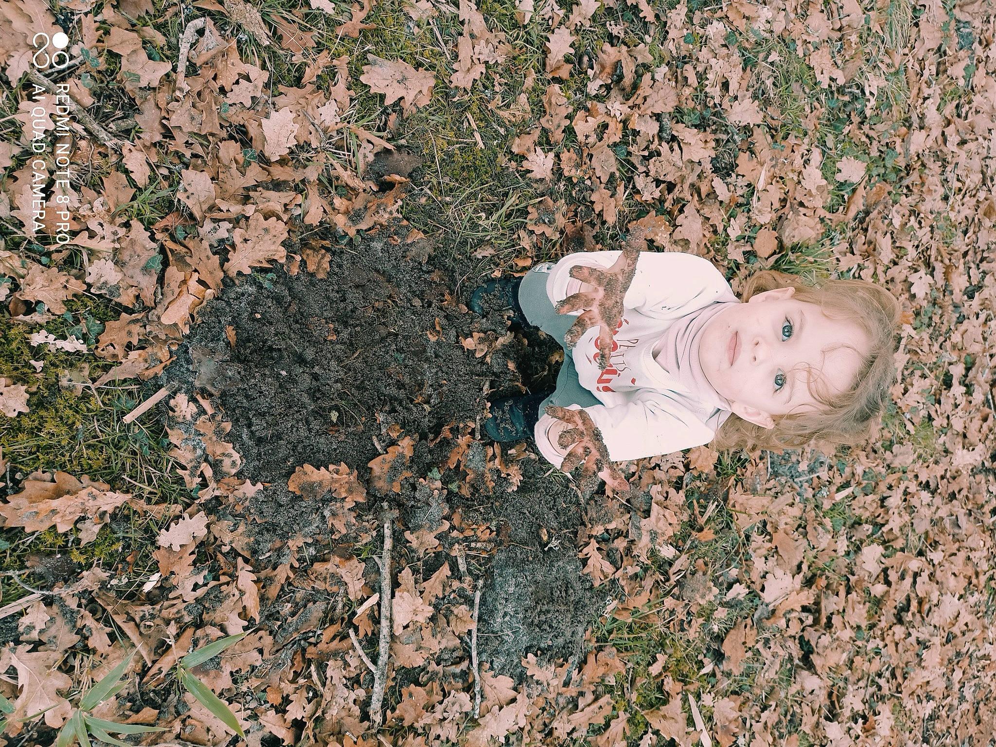 Shayana participe au concours pour gagner de l'argent avec cette photo : asphalt, baby, baby_toddler_clothing, botany, child, flooring, grass, groundcover, happy, landscape, leaf, people_in_nature, person, petal, plant, road_surface, sitting, soil, toddler, tree