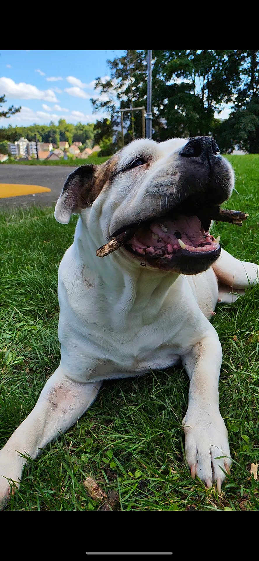 Luna