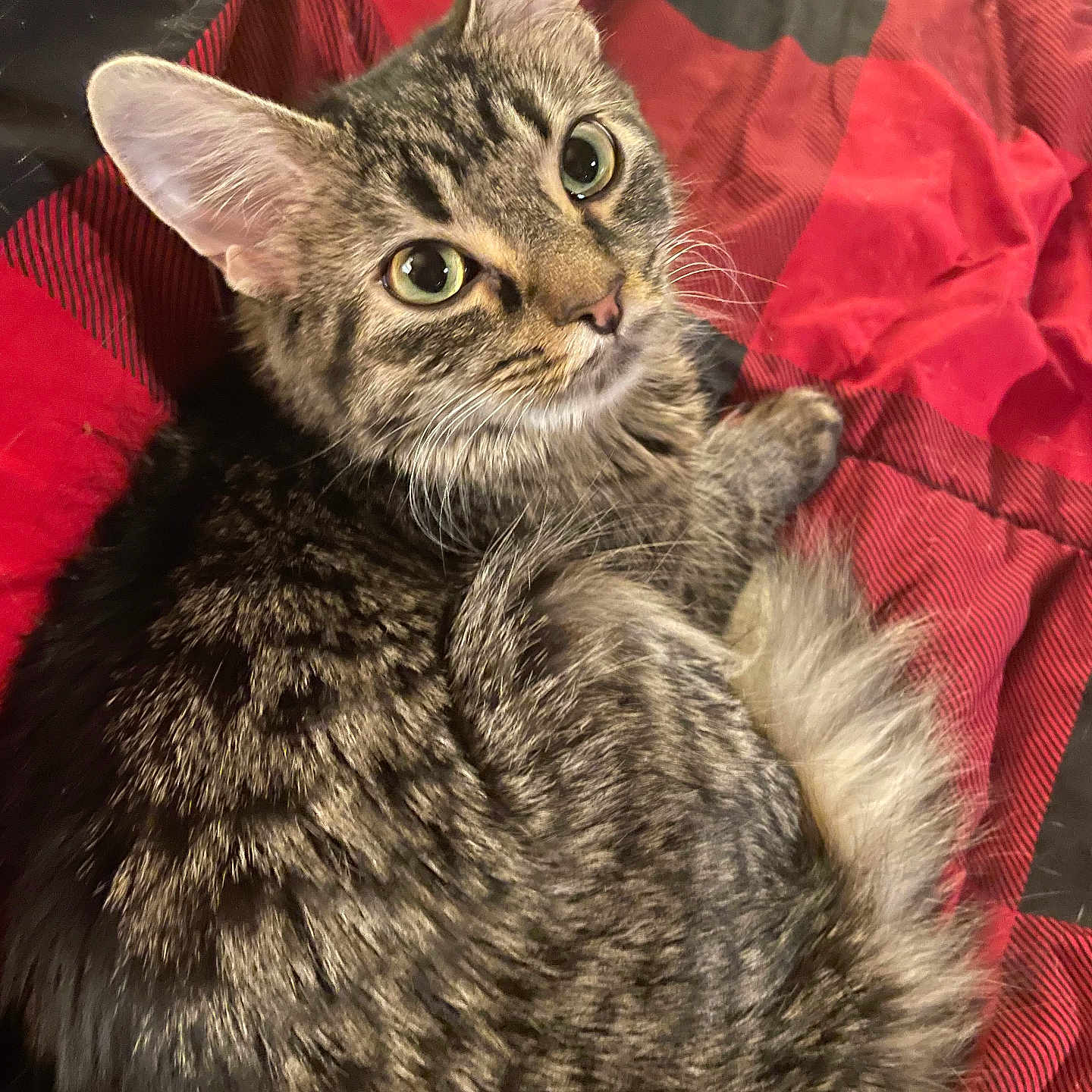 Luna