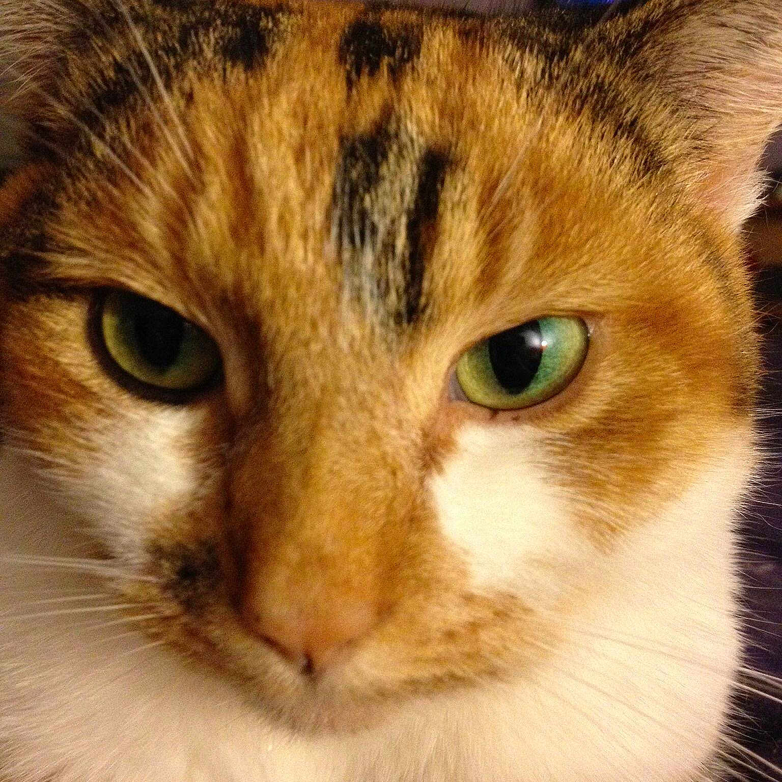 Cleo is registered to the contest to win money with this photo:
