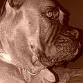 Martine L.