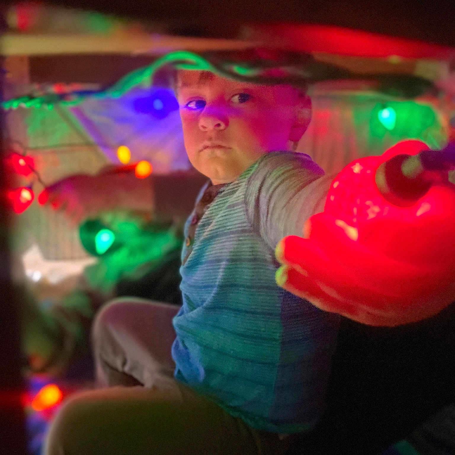 Kyle joined the competition — help win amazing prizes! chair, darkness, entertainment, event, flash_photography, fun, hat, lighting, magenta, midnight, music, neon, night, performing_arts, pink, plant, purple, shorts, tree, visual_effect_lighting