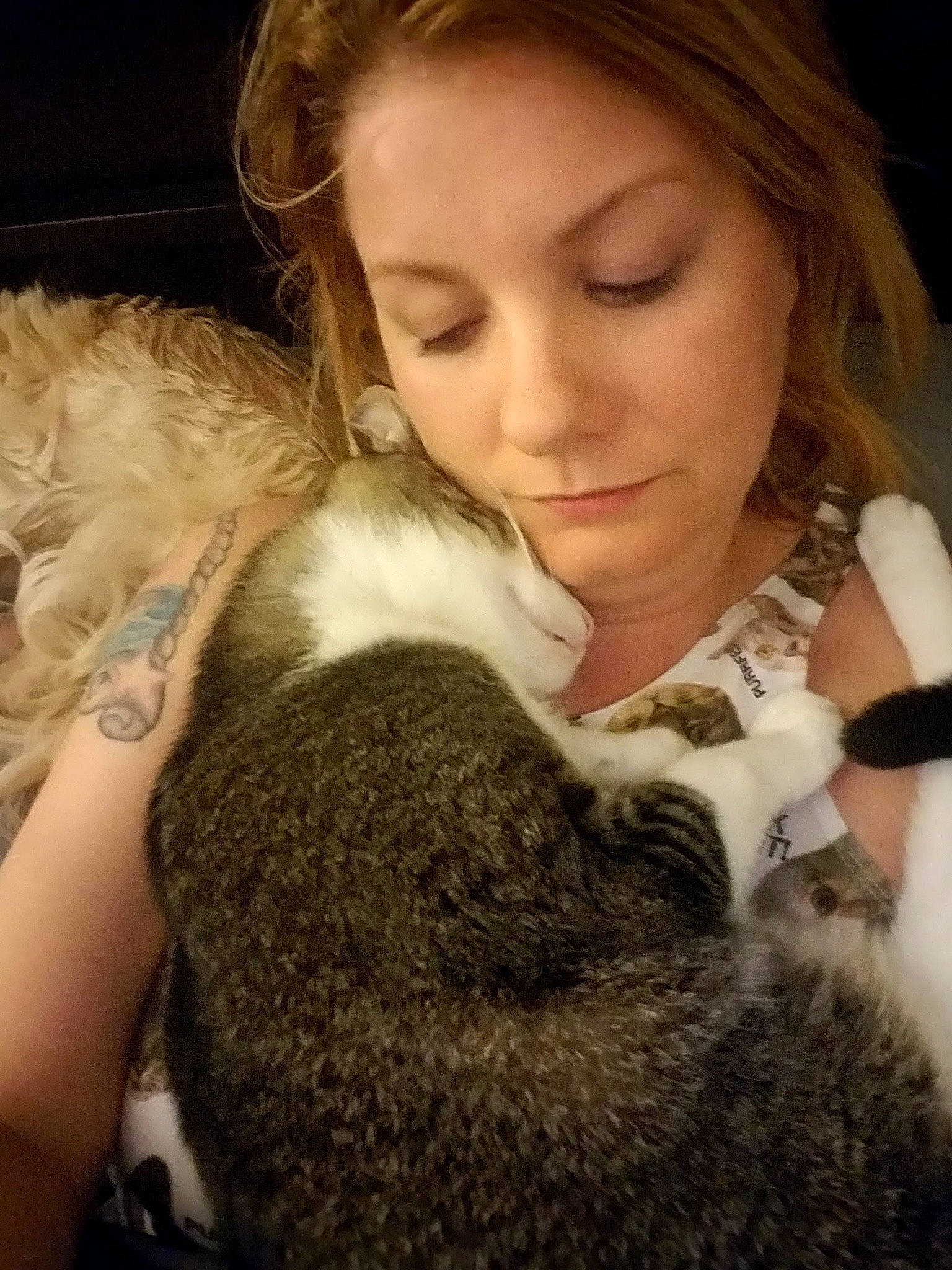 Corey Patrick is registered to the contest to win money with this photo: brown_hair, cat, child, ear, fawn, fur, fur_clothing, hug, long_hair, nose, person, puppy_love, selfie, smile, textile