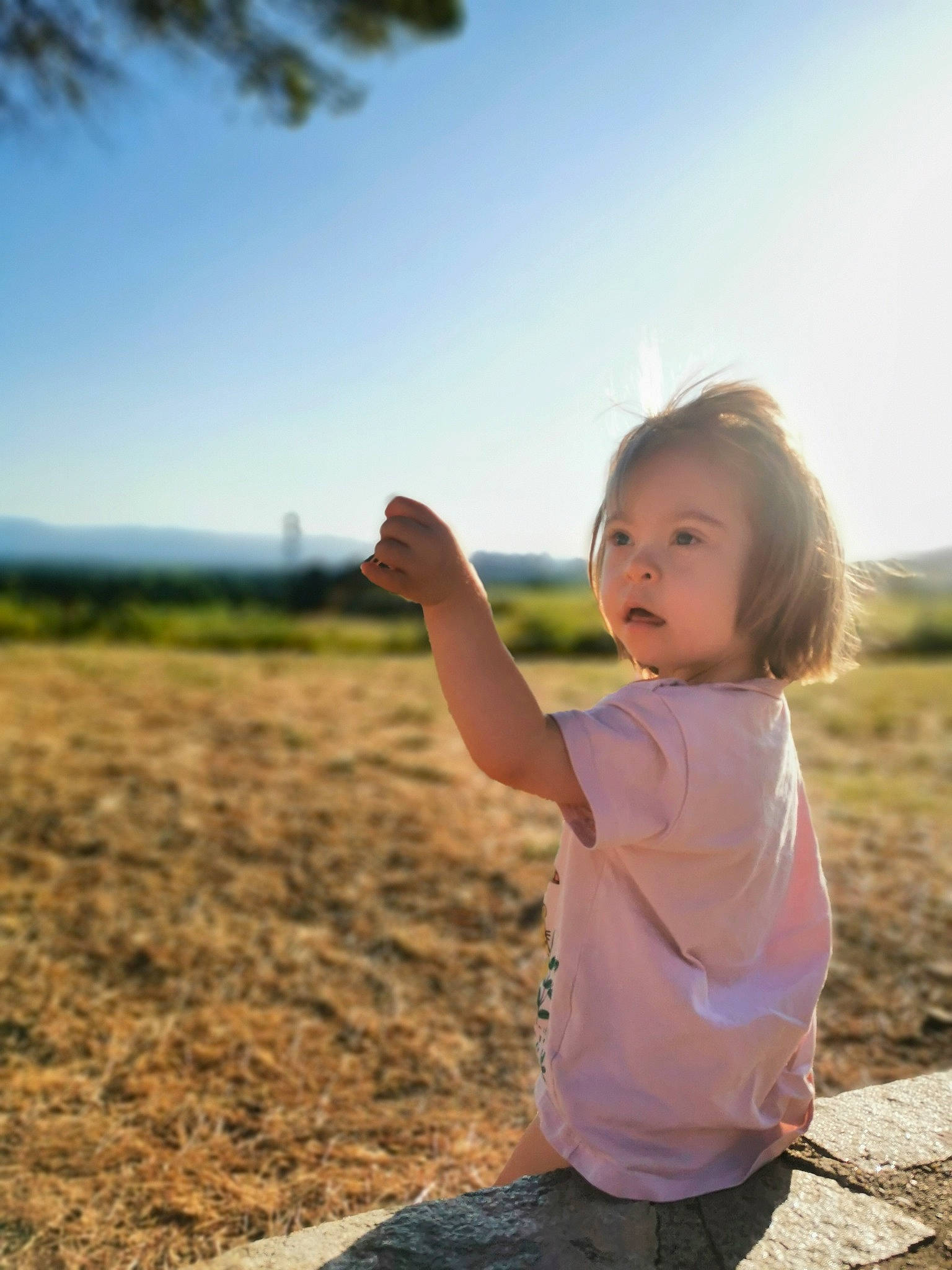 Ohana participe au concours pour gagner de l'argent avec cette photo : child, field, flash_photography, fun, gesture, grass, grassland, happy, horizon, landscape, people_in_nature, person, plant, prairie, sitting, sky, soil, sunlight, toddler, tree