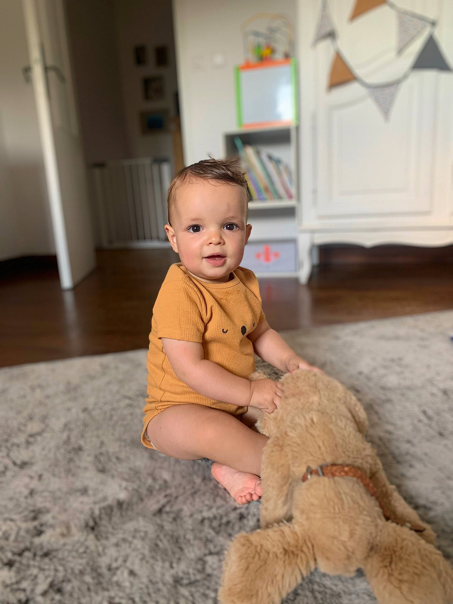 Marceau a rejoint le concours — aidez-le/la à gagner de superbes lots ! baby, baby_toddler_clothing, child, door, eye, flooring, foot, fun, fur, happy, hardwood, person, room, sitting, sleeve, soil, stuffed_toy, toddler, toy, wood