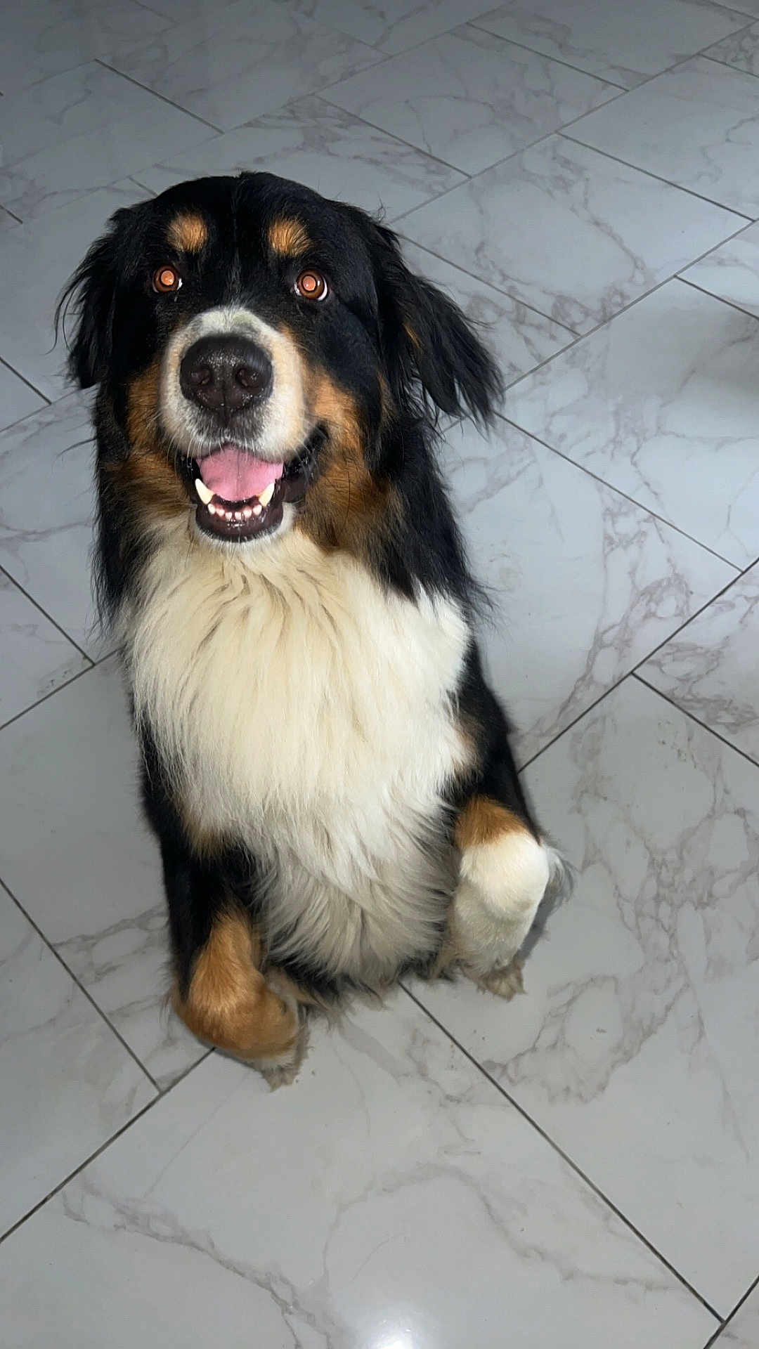 Tymo