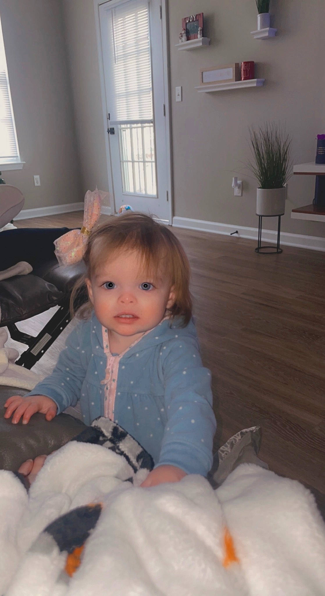 Ellie joined the competition — help win amazing prizes! baby, baby_toddler_clothing, cheek, comfort, eye, finger, floor, flooring, flowerpot, houseplant, iris, lap, living_room, mammal, person, plant, skin, smile, toddler, window