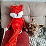 Tara participe au concours pour gagner de l'argent avec cette photo : animal, blanket, companion, couch, cozy, cute, dog, fabric, fox, furry, home, indoor, pet, pillow, plush_toy, relaxed, seated, small_dog, stuffed_animal, texture