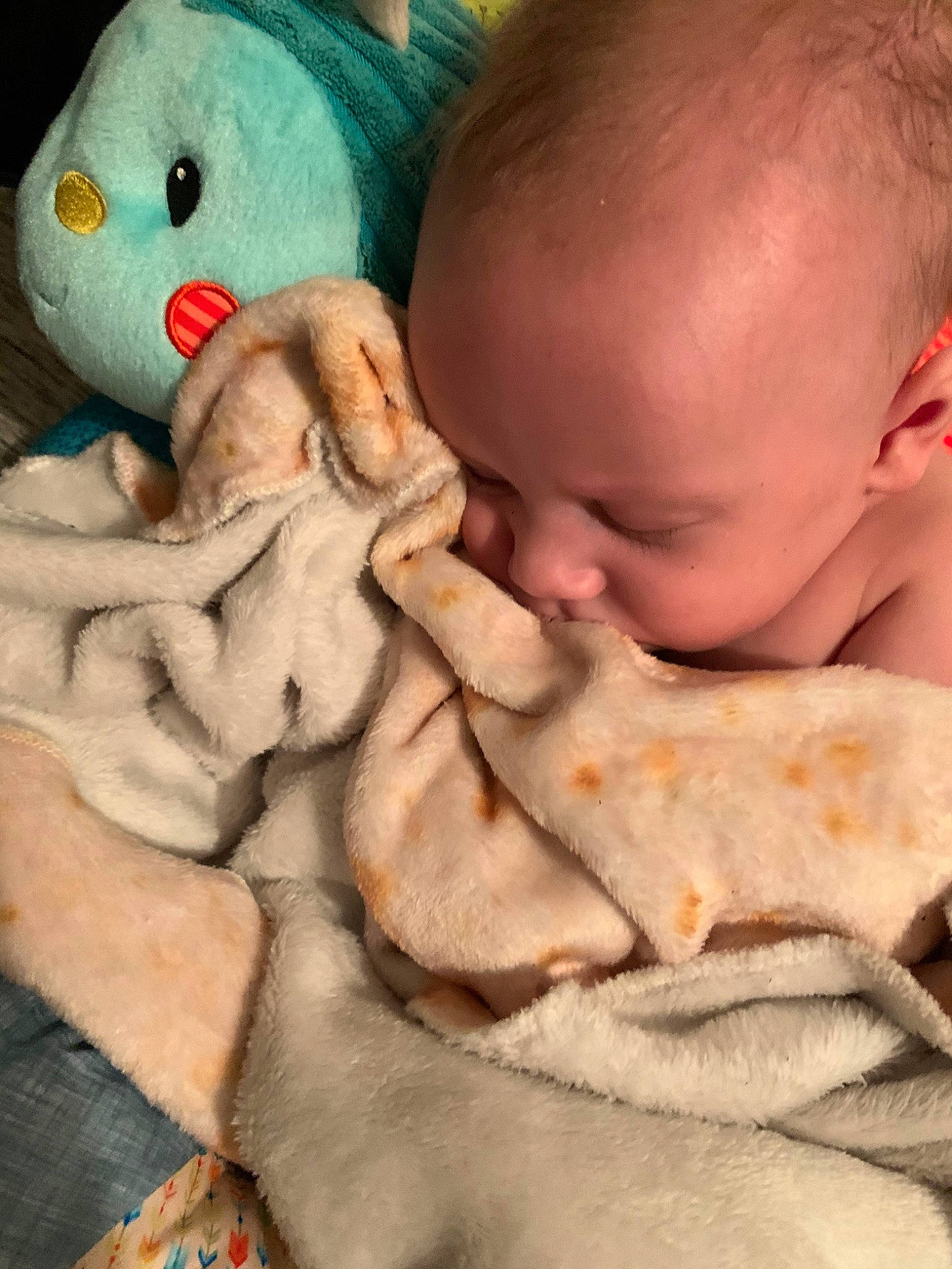 Rolland is registered to the contest to win money with this photo: baby, baby_sleeping, bedtime, birth, blanket, cheek, child, hand, nap, nose, person, sleep, toddler