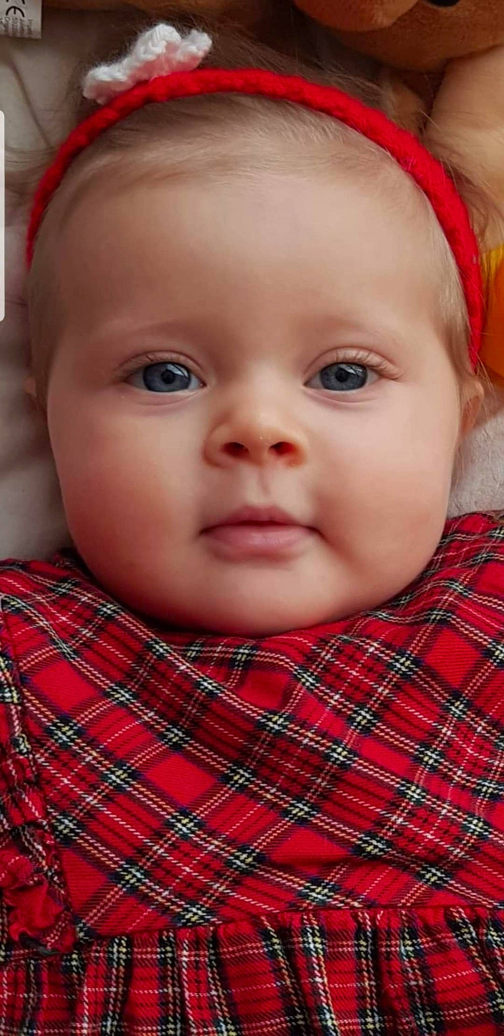 Romy a rejoint le concours — aidez-le/la à gagner de superbes lots ! baby_toddler_clothing, cheek, child, chin, ear, eye, eyebrow, eyelash, forehead, iris, lip, mammal, mouth, nose, organ, pattern, person, plaid, skin, tartan