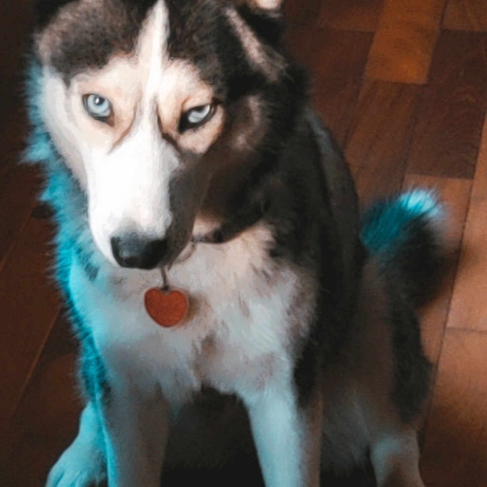Sheeba