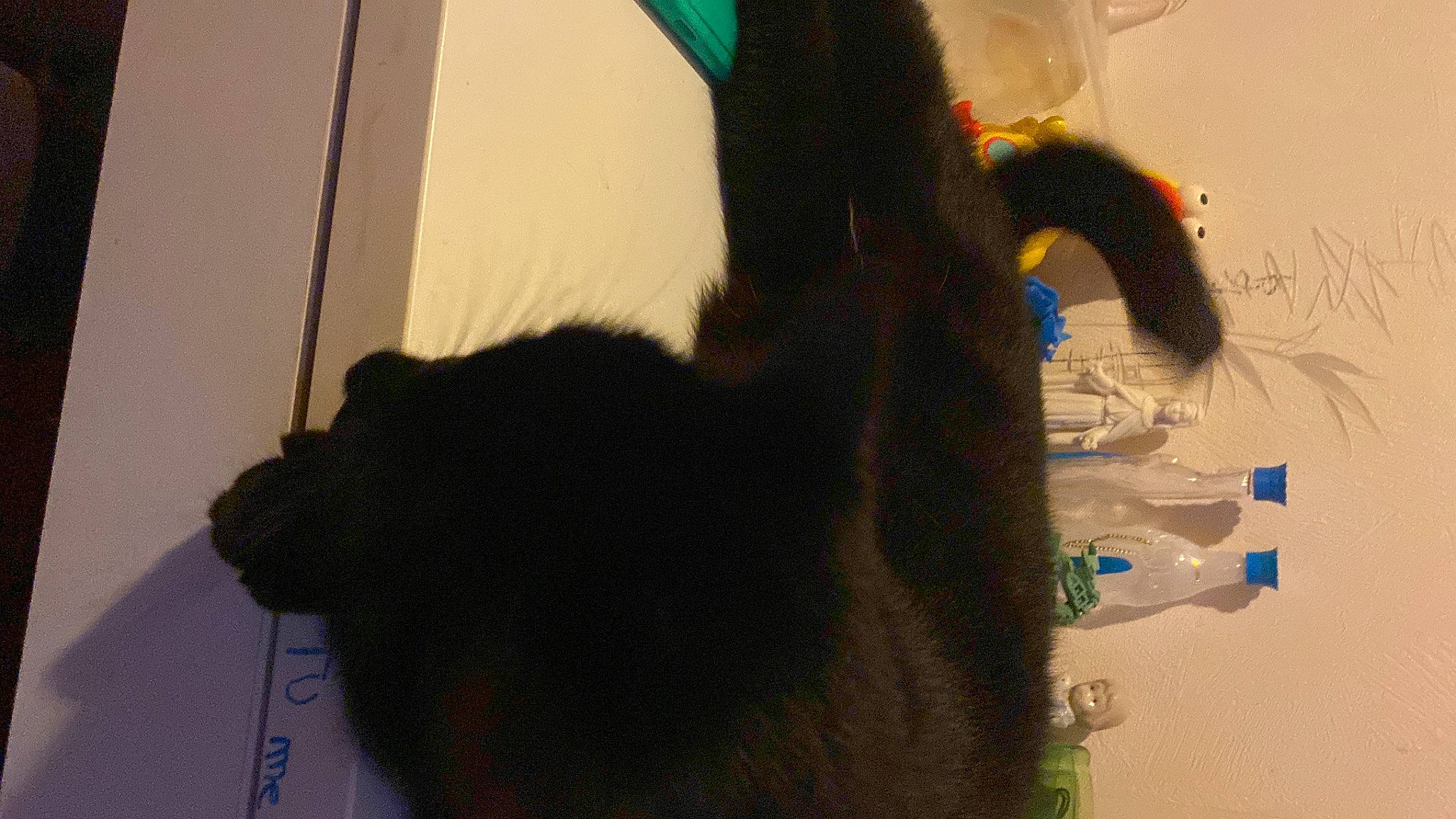 Mitygriffe participe au concours pour gagner de l'argent avec cette photo : art, bangs, black_cat, cat, claw, domestic_short_haired_cat, eyelash, felidae, fur, gesture, room, selfie, small_to_medium_sized_cats, snout, tail, visual_arts, whiskers