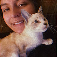 Cookie joined the competition — help win amazing prizes! animal, cat, closeup, companion, couch, cozy, face, feline, friendship, fur, happy, home, indoor, light, person, pet, portrait, relaxing, smile, warm