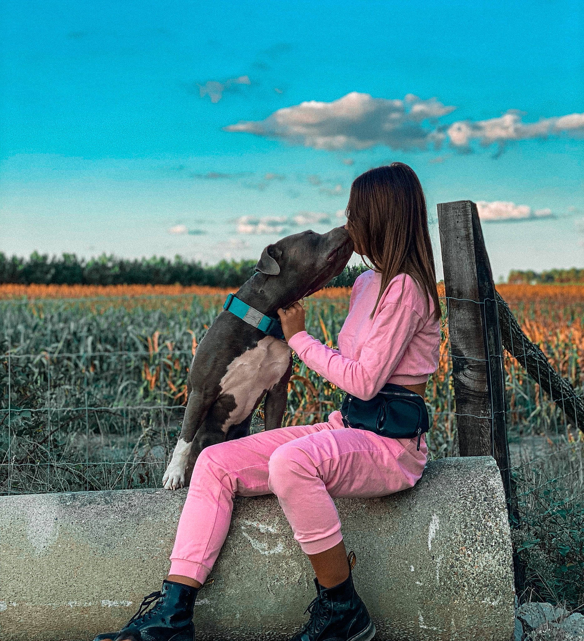 Ozuka a rejoint le concours — aidez-le/la à gagner de superbes lots ! canidae, dog, friendship, guard_dog, happy, hug, interaction, love, photography, sitting, snapshot, sporting_group, tourism, travel