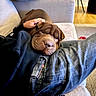 arm, black_jacket, brown_dog, carpet, casual_clothing, comfort, couch, cozy, dog, hand, indoor, jeans, living_room, person, pet, relaxation, remote_control, resting, wooden_floor, wrinkly_dog