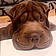 Tyson