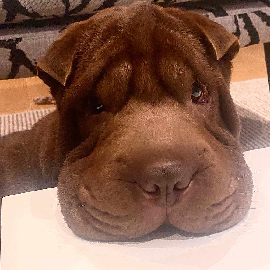 Tyson