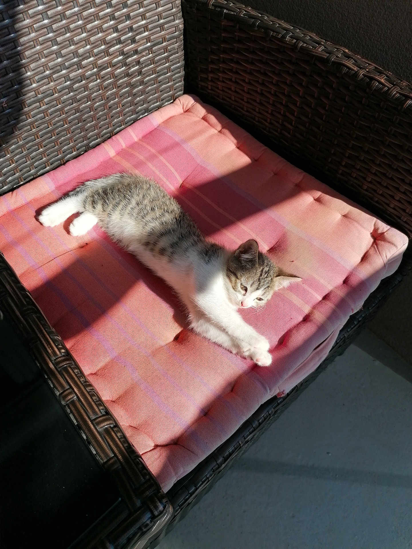 Pixelle