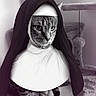 Pocket joined the competition — help win amazing prizes! animal, black_and_white, cat, cat_tree, detailed_fur, eyes, funny, furniture, habit, hanging_toy, home, hood, indoor, nun_costume, pet, portrait, scratching_post, sitting, tabby_cat, whiskers