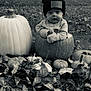 Ryder is registered to the contest to win money with this photo: autumn, baby, beanie, black_and_white, child, cozy, cute, fall, grass, harvest, hat, holiday, leaves, nature, outdoor, person, portrait, pumpkin, seasonal, smiling