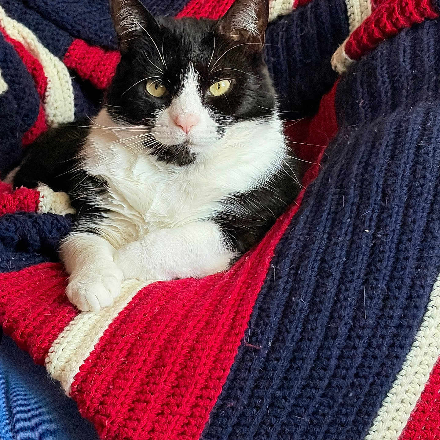 Dora
