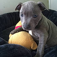 Luna participe au concours pour gagner de l'argent avec cette photo :
