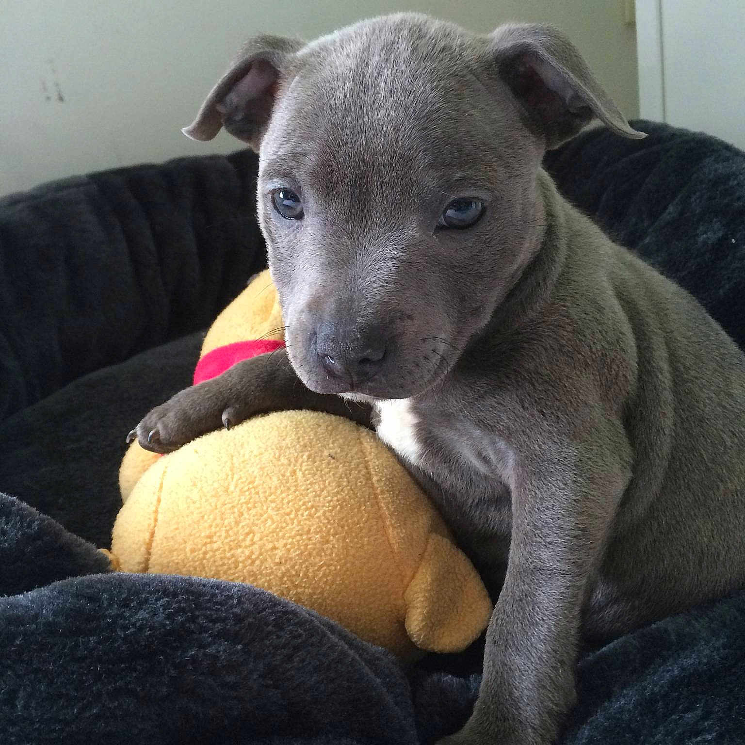 Luna participe au concours pour gagner de l'argent avec cette photo :