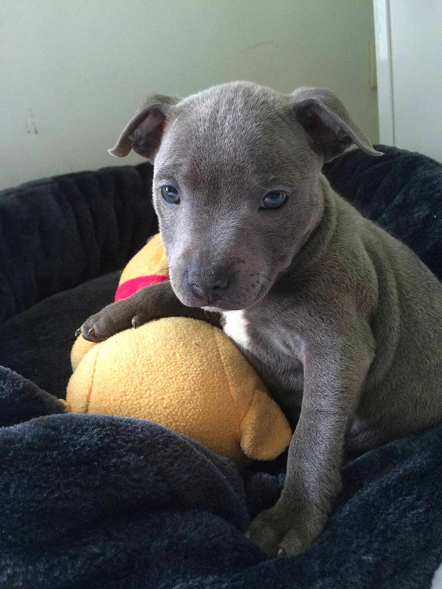 Luna participe au concours pour gagner de l'argent avec cette photo :