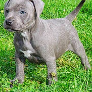 Luna participe au concours pour gagner de l'argent avec cette photo :