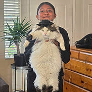 Fluffy is registered to the contest to win money with this photo: black_clothing, carpet, cat, child, cute, domestic, dresser, floor, fluffy_cat, furniture, holding, home, indoor, long_hair, person, pet, plant, portrait, smiling, window