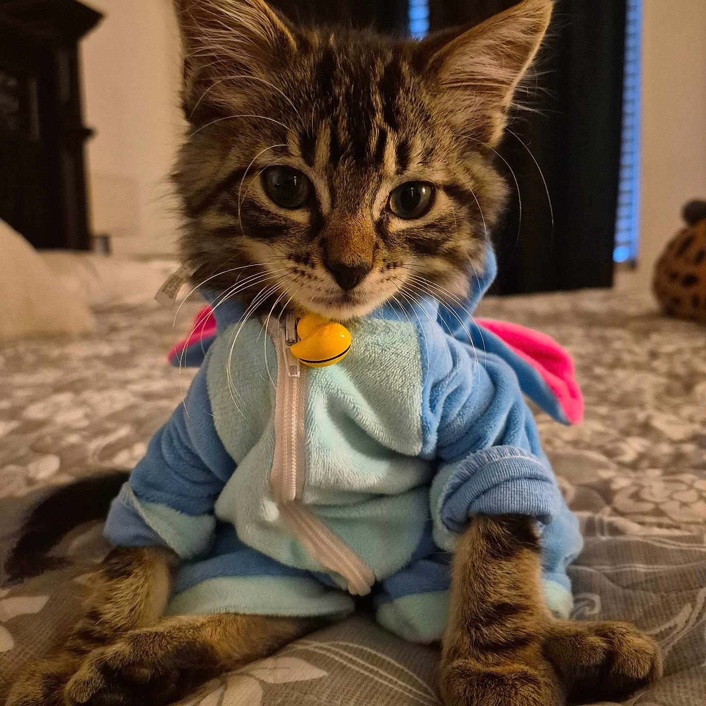 Panchito
