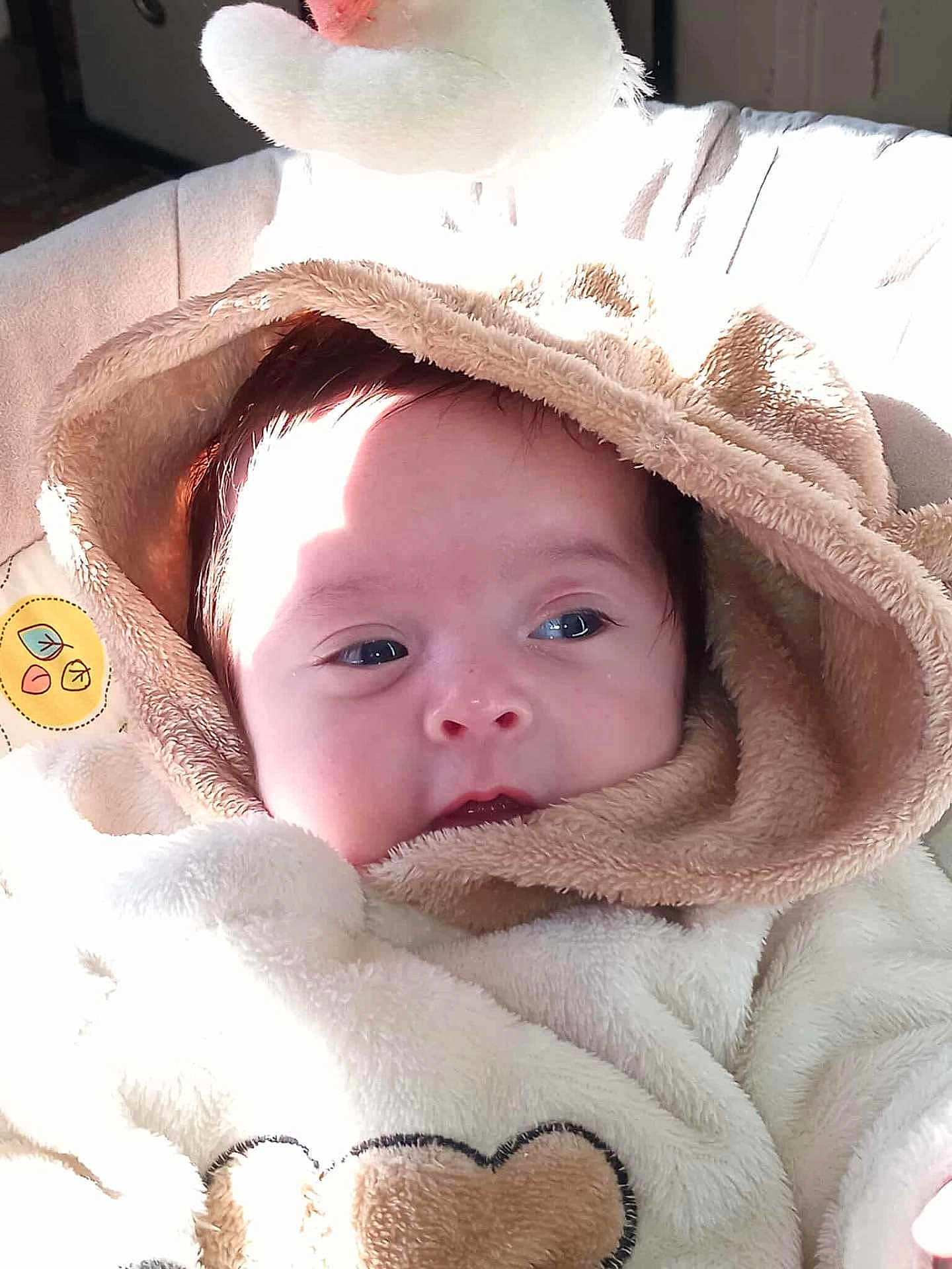 Timéo a rejoint le concours — aidez-le/la à gagner de superbes lots ! baby, infant, face, hood, blanket, soft, warm, clothing, cute, child, portrait, indoors, fur, animal_costume, comfort, young, expression, eyes, skin, light