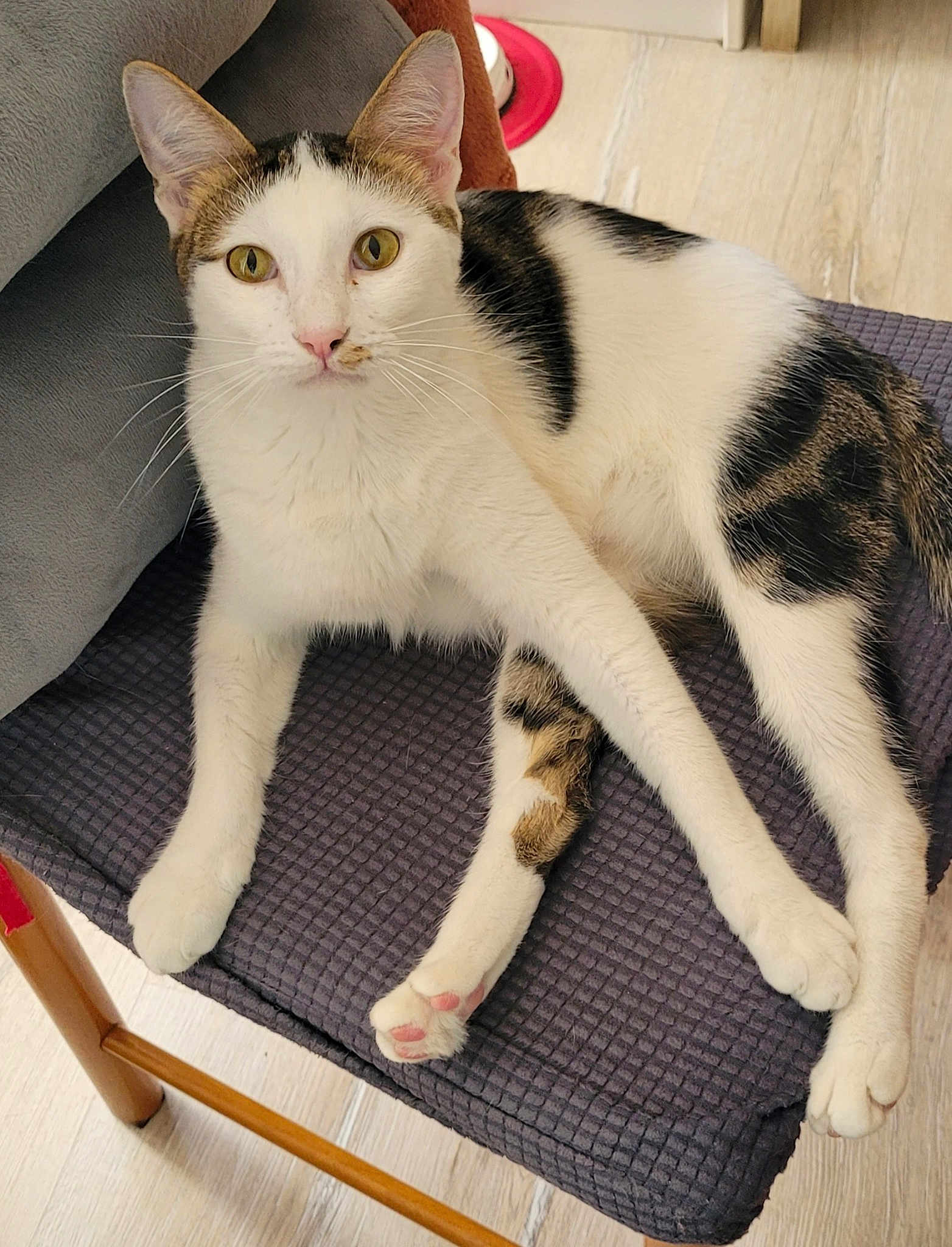 Odin